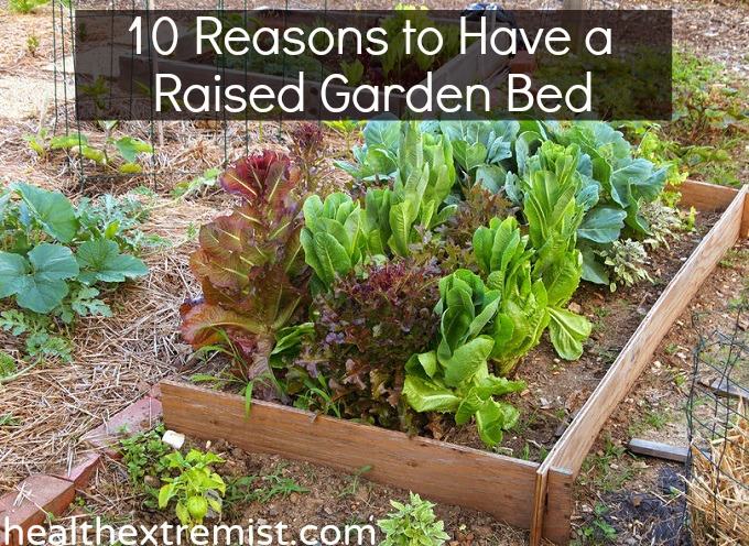 https://www.treasuredtips.com/wp-content/uploads/2014/05/Benefits-of-Raised-Garden-Beds.jpg